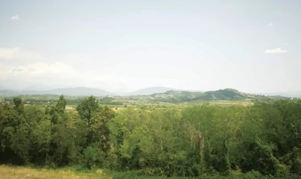 Le colline di Manzano viste dall’alto, tra boschi e campi